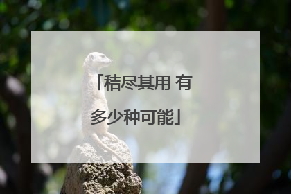 秸尽其用 有多少种可能
