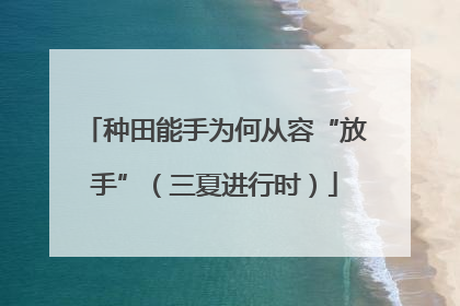 种田能手为何从容“放手”（三夏进行时）