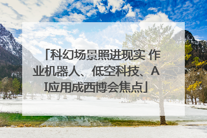 科幻场景照进现实 作业机器人、低空科技、AI应用成西博会焦点