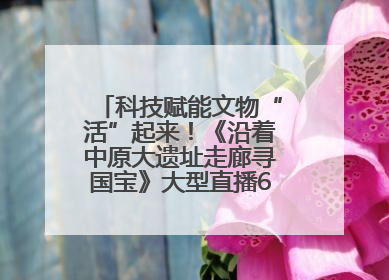 科技赋能文物“活”起来！《沿着中原大遗址走廊寻国宝》大型直播6月14日启幕