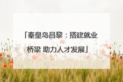 秦皇岛昌黎：搭建就业桥梁 助力人才发展