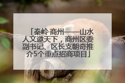 秦岭·商州——山水人文邀天下，商州区委副书记、区长支朝奇推介5个重点招商项目