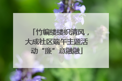 竹编缕缕织清风，大成社区端午主题活动“廉”意融融