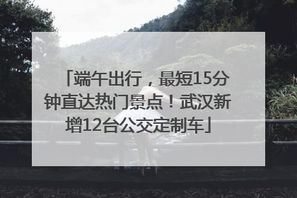 端午出行，最短15分钟直达热门景点！武汉新增12台公交定制车