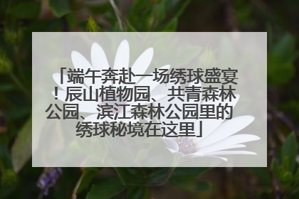端午奔赴一场绣球盛宴！辰山植物园、共青森林公园、滨江森林公园里的绣球秘境在这里