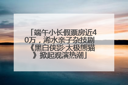 端午小长假票房近40万，浠水亲子杂技剧《黑白侠影·太极熊猫》掀起观演热潮