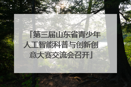 第三届山东省青少年人工智能科普与创新创意大赛交流会召开