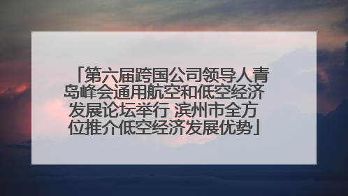 第六届跨国公司领导人青岛峰会通用航空和低空经济发展论坛举行 滨州市全方位推介低空经济发展优势