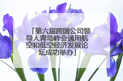 第六届跨国公司领导人青岛峰会通用航空和低空经济发展论坛成功举办