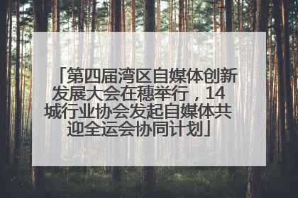 第四届湾区自媒体创新发展大会在穗举行，14城行业协会发起自媒体共迎全运会协同计划