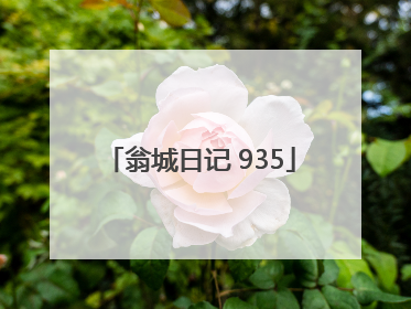 翁城日记 935