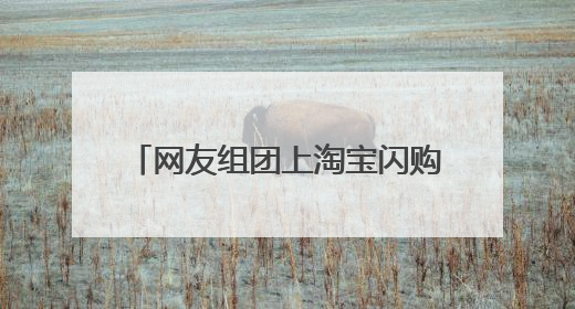 网友组团上淘宝闪购给“孔子”送粽子