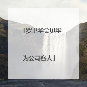 罗卫华会见华为公司客人
