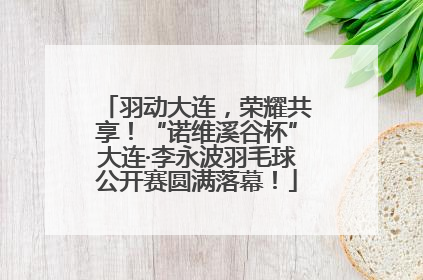 羽动大连，荣耀共享！“诺维溪谷杯”大连·李永波羽毛球公开赛圆满落幕！