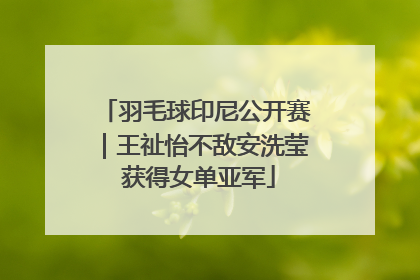 羽毛球印尼公开赛｜王祉怡不敌安洗莹 获得女单亚军