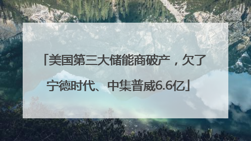 美国第三大储能商破产，欠了宁德时代、中集普威6.6亿