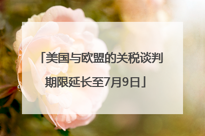 美国与欧盟的关税谈判期限延长至7月9日