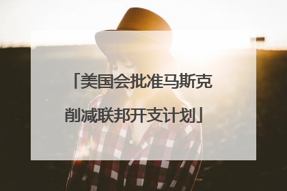 美国会批准马斯克削减联邦开支计划