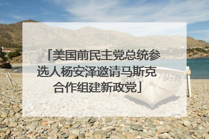 美国前民主党总统参选人杨安泽邀请马斯克合作组建新政党