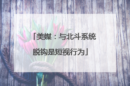 美媒：与北斗系统脱钩是短视行为