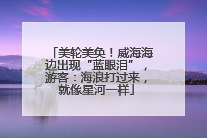 美轮美奂！威海海边出现“蓝眼泪”，游客：海浪打过来，就像星河一样