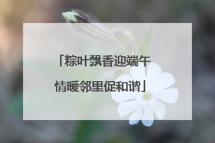 粽叶飘香迎端午 情暖邻里促和谐