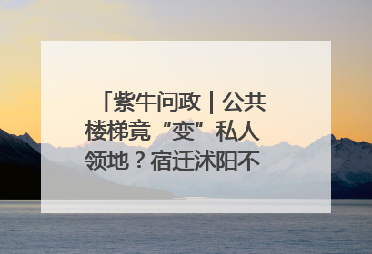 紫牛问政｜公共楼梯竟“变”私人领地？宿迁沭阳不动产登记引质疑