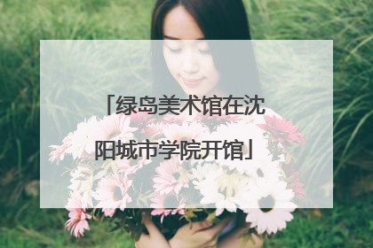 绿岛美术馆在沈阳城市学院开馆