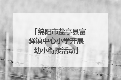 绵阳市盐亭县富驿镇中心小学开展幼小衔接活动