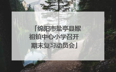 绵阳市盐亭县嫘祖镇中心小学召开期末复习动员会
