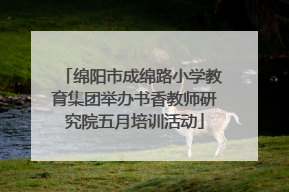 绵阳市成绵路小学教育集团举办书香教师研究院五月培训活动