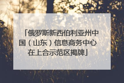 俄罗斯新西伯利亚州中国（山东）信息商务中心在上合示范区揭牌