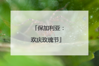 保加利亚：欢庆玫瑰节