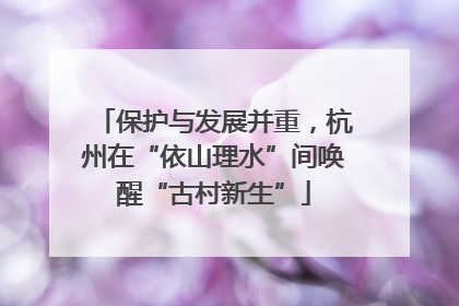 保护与发展并重，杭州在“依山理水”间唤醒“古村新生”