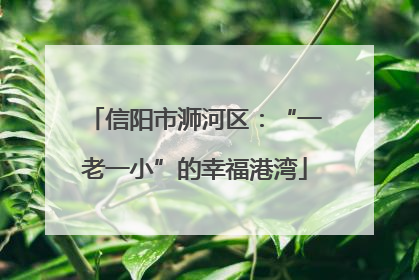 信阳市浉河区：“一老一小”的幸福港湾