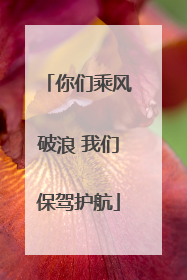 你们乘风破浪 我们保驾护航