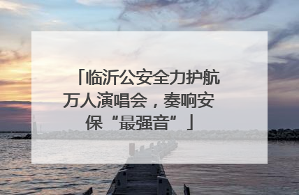 临沂公安全力护航万人演唱会，奏响安保“最强音”