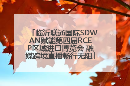 临沂联通国际SDWAN赋能第四届RCEP区域进口博览会 融媒跨境直播畅行无阻