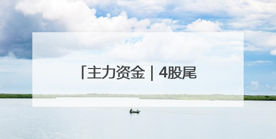 主力资金｜4股尾盘获主力大幅抢筹