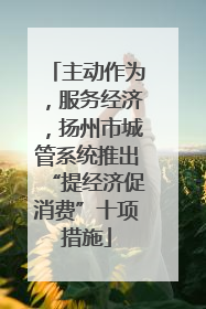 主动作为，服务经济，扬州市城管系统推出“提经济促消费”十项措施