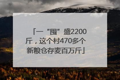 一“囤”盛2200斤，这个村470多个新粮仓存麦百万斤