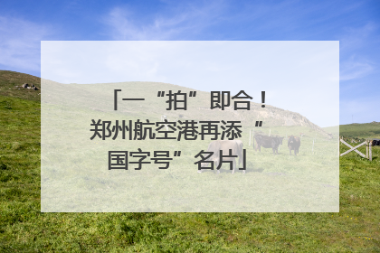 一“拍”即合！郑州航空港再添“国字号”名片