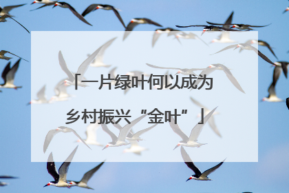 一片绿叶何以成为乡村振兴“金叶”