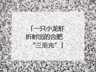 一只小龙虾折射出的合肥“三重光”