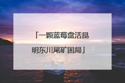 一颗蓝莓盘活昆明东川尾矿困局