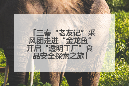三秦“老友记”采风团走进“金龙鱼”开启“透明工厂”食品安全探索之旅