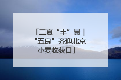 三夏“丰”景|“五良”齐迎北京小麦收获日