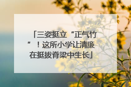 三姿挺立“正气竹”！这所小学让清廉在挺拔脊梁中生长