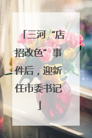 三河“店招改色”事件后，迎新任市委书记