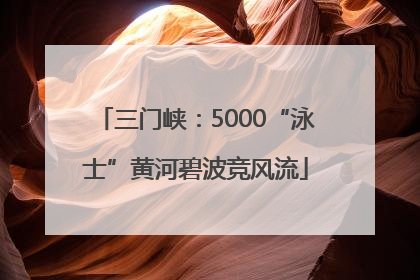 三门峡：5000“泳士”黄河碧波竞风流